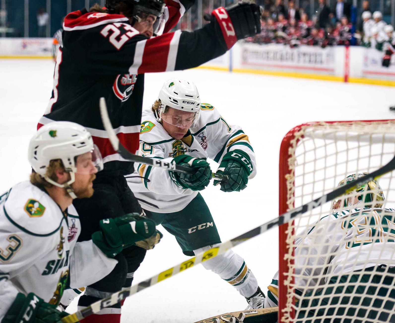 Musketeers vs Steel game 4 Clark Cup hockey